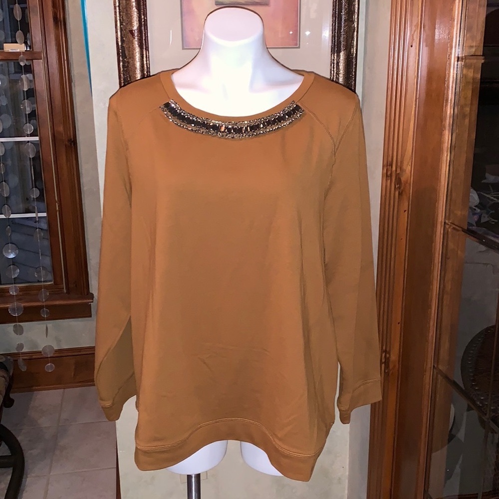 Susan Graver rhinestone embellished brown long sleeve top.  Size 1X. Soft fabric
